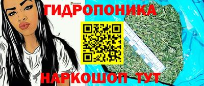 гидра Наро-Фоминск