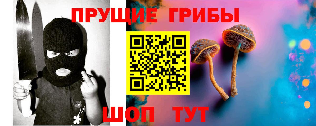 Псилоцибиновые грибы ЛСД  Псилоцибиновые грибы ЛСД  закладки  Вход с VPN  Якутск 